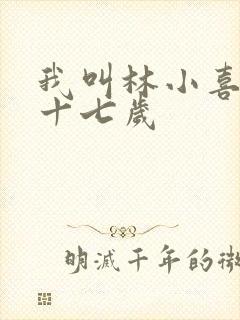 我叫林小喜今年十七岁
