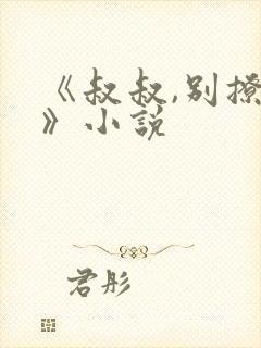 《叔叔,别撩我》小说