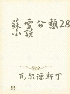 苏雪公憩28篇小说