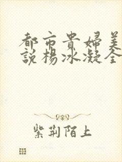 都市贵妇美腿小说杨冰凝全文阅读