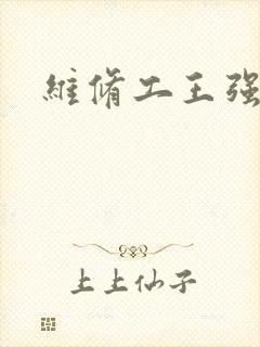 维修工王强张婷