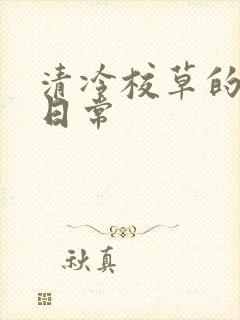 清冷校草的抹布日常