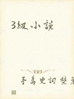 3级小说