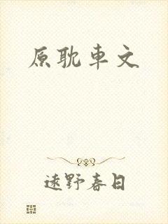 原耽车文
