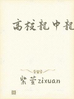 高校龙中龙封面
