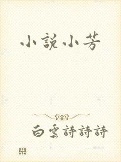 小说小芳