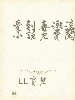 爱到春潮滚滚来小说免费阅读