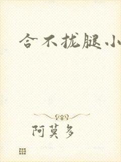 合不拢腿小说