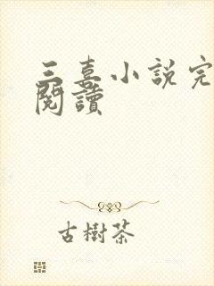 三喜小说完整版阅读