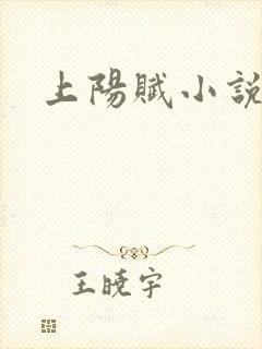 上阳赋小说封面