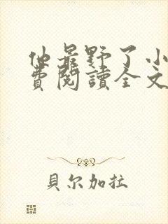 他最野了小说免费阅读全文