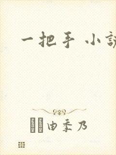 一把手 小说封面