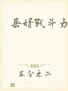 岳婿战斗力封面