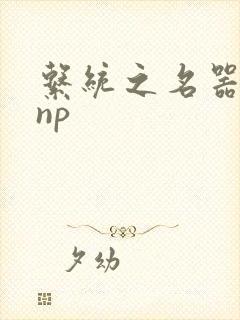 系统之名器攻略np封面