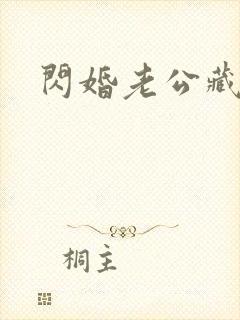 闪婚老公藏不住封面