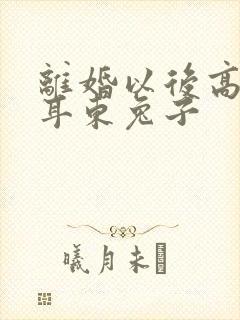 离婚以后高干 耳东兔子