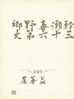 乡野春潮干柴烈火第六十三章