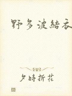 野多波结衣