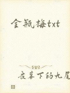 金瓶梅txt封面