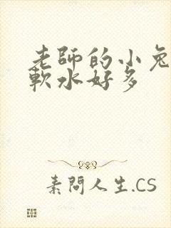 老师的小兔子好软水好多