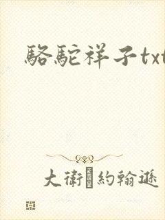 骆驼祥子txt封面