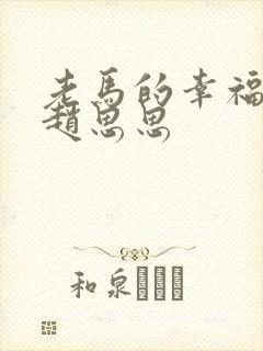 老马的幸福生活赵思思