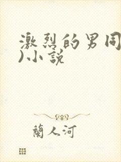 激烈的男同(h)小说