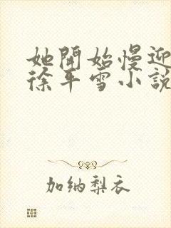 她开始慢迎迎合徐平雪小说封面