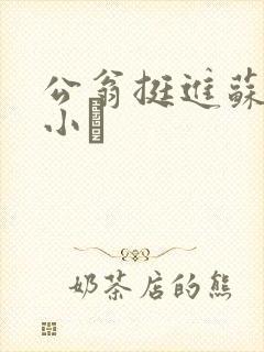 公翁挺进苏玥的小泬