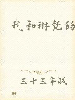 我和琳梵的故事