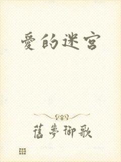 爱的迷宫