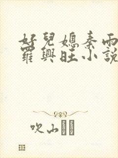 好儿媳秦雨罗明罗兴旺小说