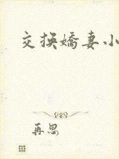 交换娇妻小说