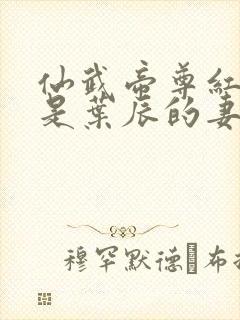 仙武帝尊红尘雪是叶辰的妻子吗