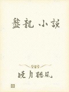 盘龙 小说