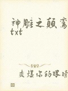 神雕之颠鸾倒凤txt