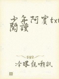 少年阿宾txt阅读封面