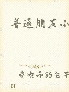 普通朋友小说