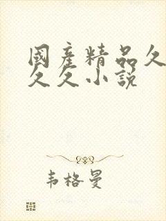 国产精品久久久久久小说