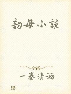 韵母小说