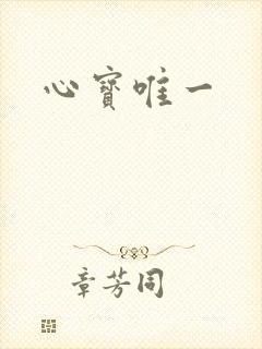 心宝唯一