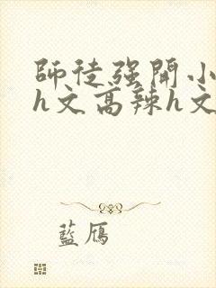 师徒强开小嫩苞h文高辣h文