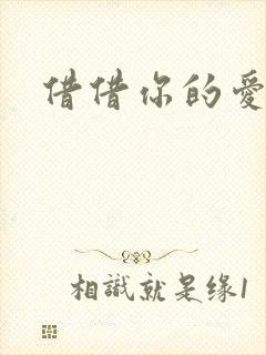 借借你的爱