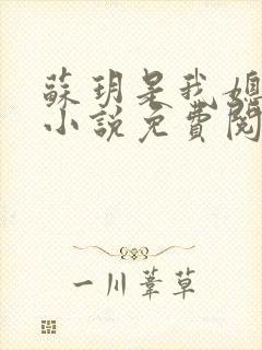 苏玥是我媳妇的小说免费阅读全文封面