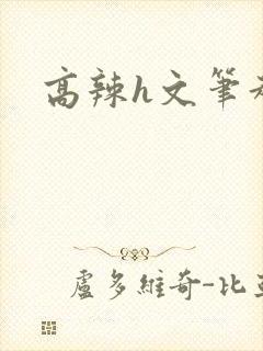 高辣h文笔趣阁