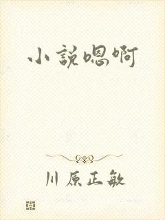 小说嗯啊