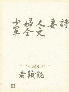 少妇人妻诗雨小军全文封面