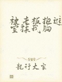 被老板抱进办公室揉我胸封面