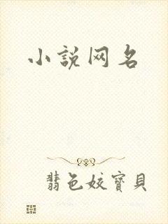 小说网名
