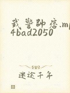 武警帅痞.mp4bad2050